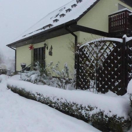 Fewo-Schmidt-Im-Erzgebirge Gelenau Dış mekan fotoğraf